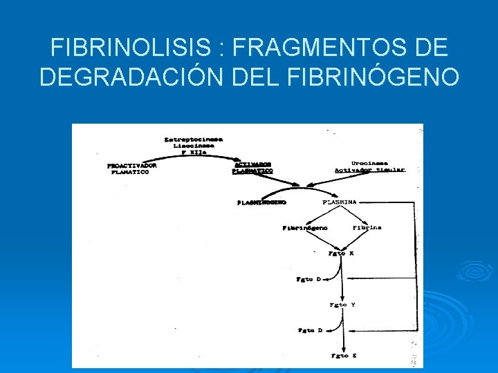 FIBRINOLISIS : FRAGMENTOS DE DEGRADACIÓN DEL FIBRINÓGENO 