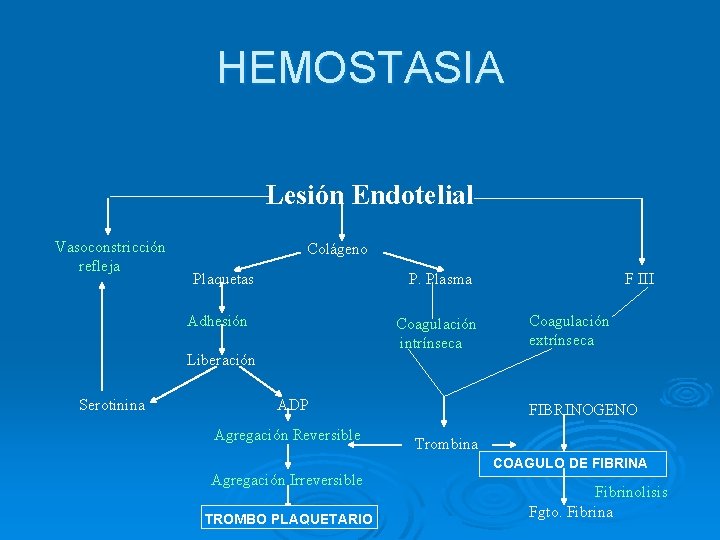 HEMOSTASIA Lesión Endotelial Vasoconstricción refleja Colágeno Plaquetas P. Plasma Adhesión Coagulación intrínseca Liberación Serotinina