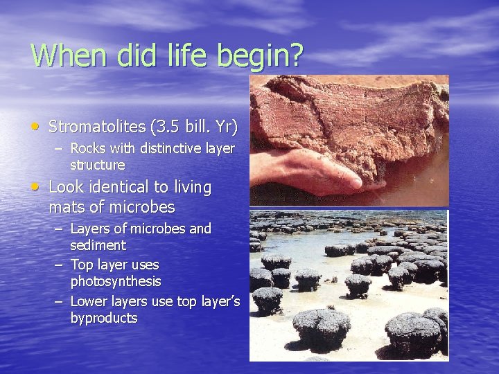 When did life begin? • Stromatolites (3. 5 bill. Yr) – Rocks with distinctive