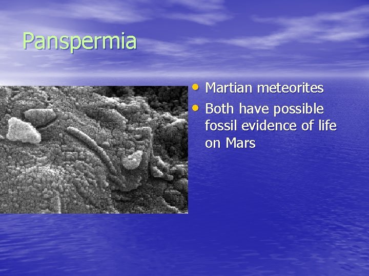 Panspermia • Martian meteorites • Both have possible fossil evidence of life on Mars