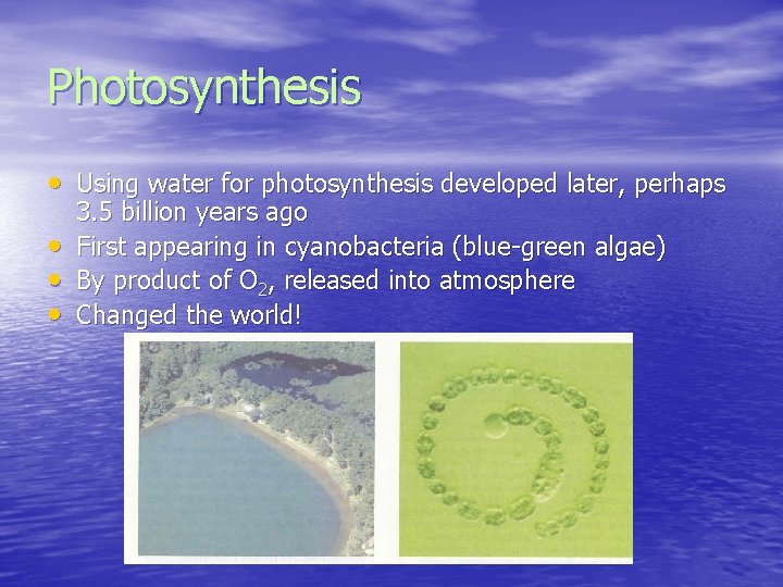 Photosynthesis • Using water for photosynthesis developed later, perhaps • • • 3. 5