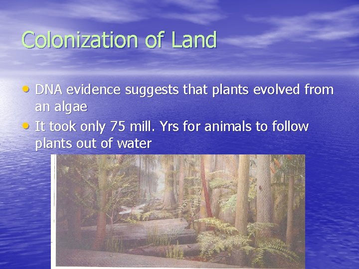 Colonization of Land • DNA evidence suggests that plants evolved from • an algae