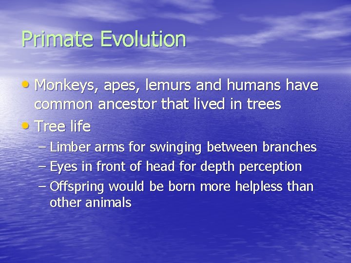 Primate Evolution • Monkeys, apes, lemurs and humans have common ancestor that lived in