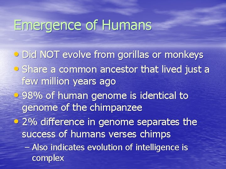 Emergence of Humans • Did NOT evolve from gorillas or monkeys • Share a