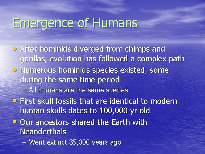 Emergence of Humans • After hominids diverged from chimps and • gorillas, evolution has