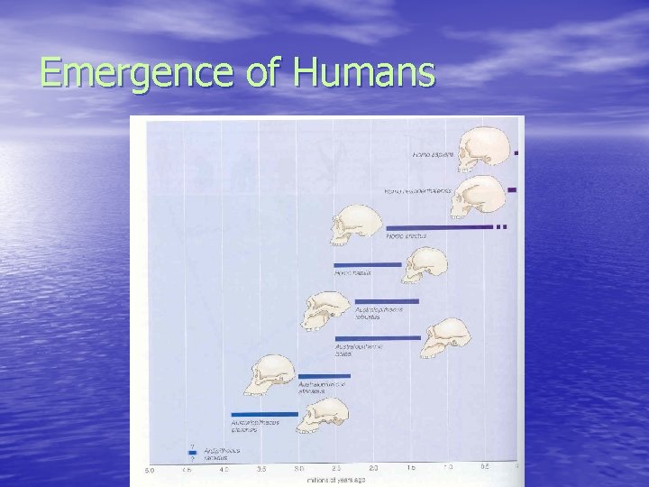 Emergence of Humans 