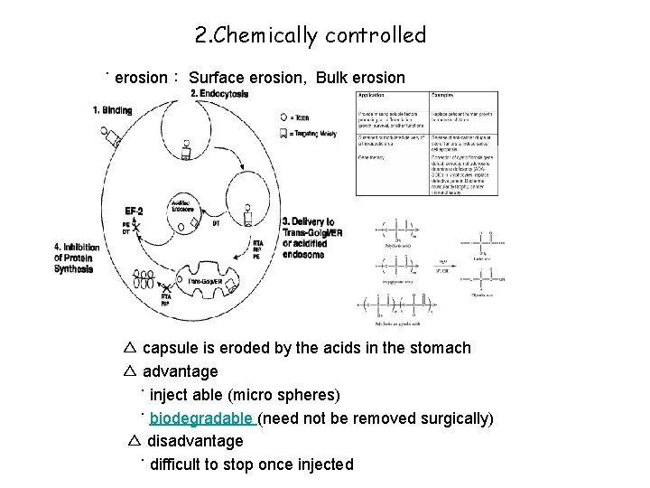 2. Chemically controlled ˙ erosion： Surface erosion, Bulk erosion △ capsule is eroded by