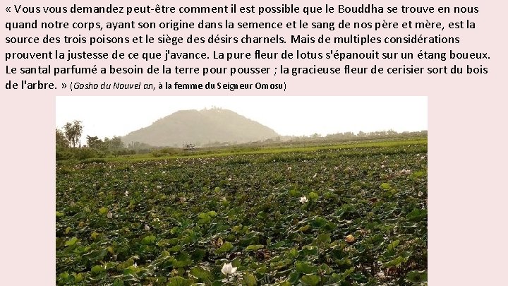  « Vous vous demandez peut-être comment il est possible que le Bouddha se