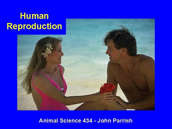Human Reproduction Animal Science 434 - John Parrish 