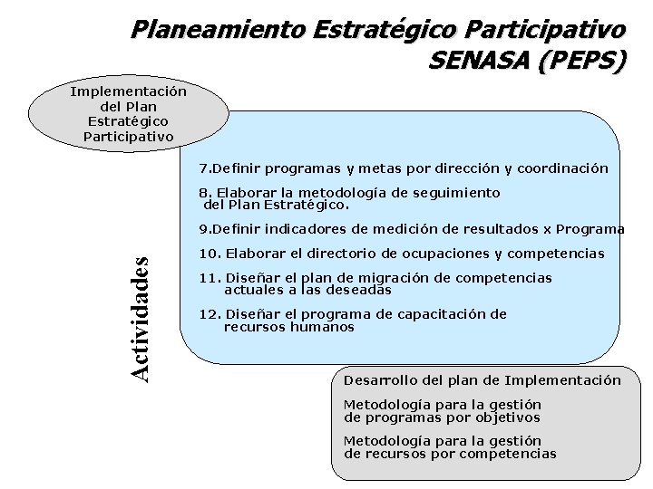 Planeamiento Estratégico Participativo SENASA (PEPS) Implementación del Plan Estratégico Participativo 7. Definir programas y