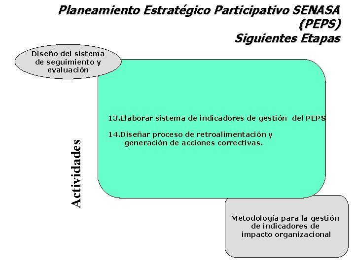 Planeamiento Estratégico Participativo SENASA (PEPS) Siguientes Etapas Diseño del sistema de seguimiento y evaluación