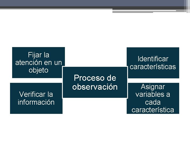 Fijar la atención en un objeto Verificar la información Identificar características Proceso de observación Fijar la atención en un objeto Verificar la información Identificar características Proceso de observación