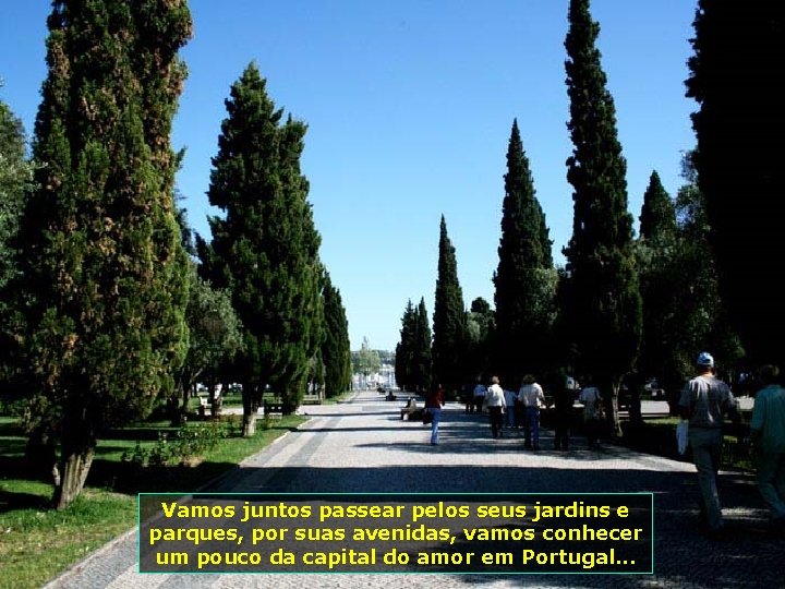 Vamos juntos passear pelos seus jardins e parques, por suas avenidas, vamos conhecer um