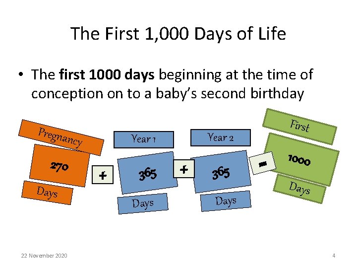 The First 1, 000 Days of Life • The first 1000 days beginning at
