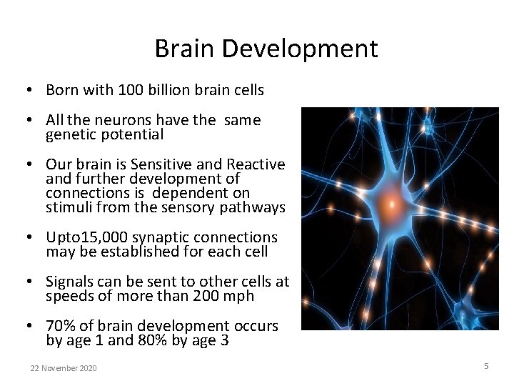  Brain Development • Born with 100 billion brain cells • All the neurons