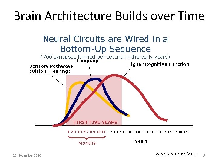 Brain Architecture Builds over Time Neural Circuits are Wired in a Bottom-Up Sequence (700
