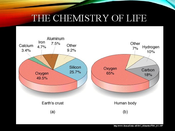 THE CHEMISTRY OF LIFE http: //www. chem. ufl. edu/~itl/2045_s 00/matter/FG 01_011. GIF 