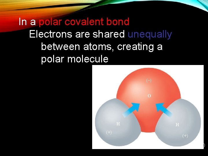 In a polar covalent bond Electrons are shared unequally between atoms, creating a polar
