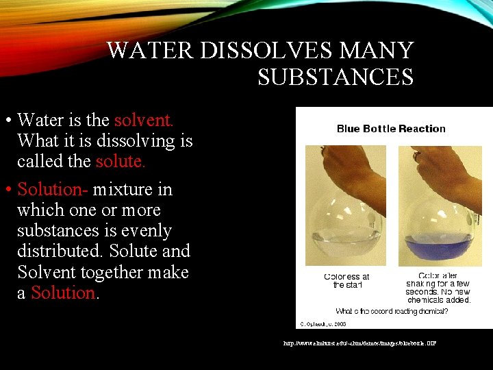 WATER DISSOLVES MANY SUBSTANCES • Water is the solvent. What it is dissolving is