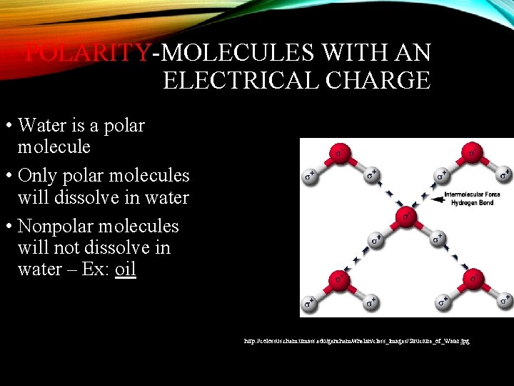 POLARITY-MOLECULES WITH AN ELECTRICAL CHARGE • Water is a polar molecule • Only polar