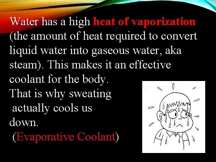 Water has a high heat of vaporization (the amount of heat required to convert