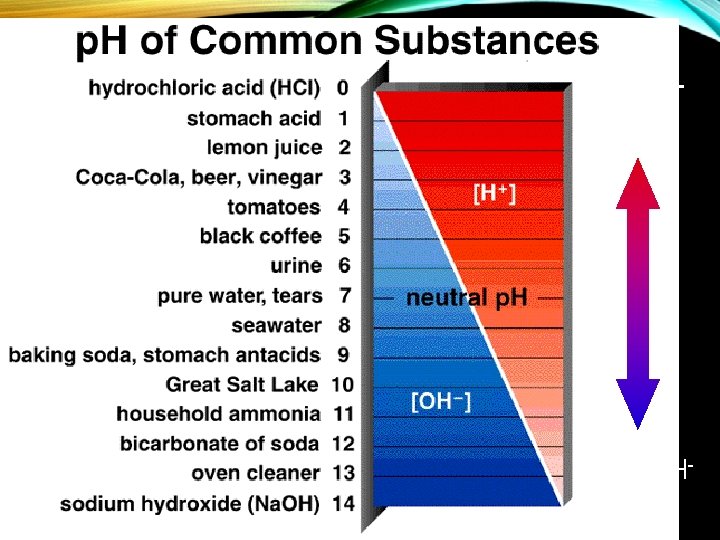 PH (2) More H+ More OH- 