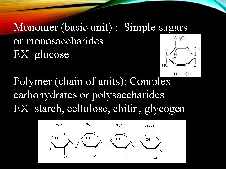 Monomer (basic unit) : Simple sugars or monosaccharides EX: glucose Polymer (chain of units):