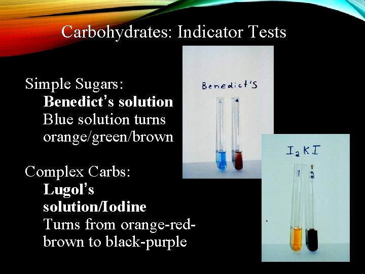 Carbohydrates: Indicator Tests Simple Sugars: Benedict’s solution Blue solution turns orange/green/brown Complex Carbs: Lugol’s