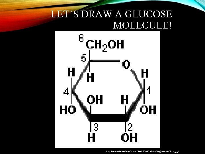 LET’S DRAW A GLUCOSE MOLECULE! http: //www. thefreshloaf. com/files/u 12441/alpha-D-glucose%20 ring. gif 
