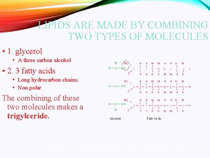 LIPIDS ARE MADE BY COMBINING TWO TYPES OF MOLECULES • 1. glycerol • A