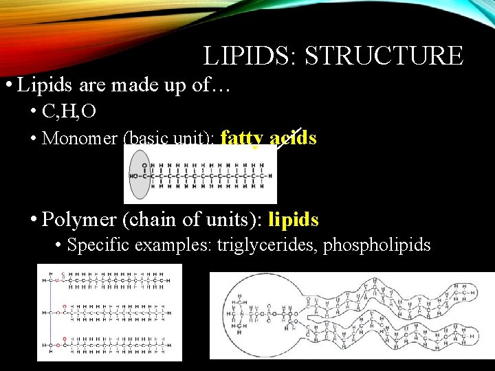 LIPIDS: STRUCTURE • Lipids are made up of… • C, H, O • Monomer