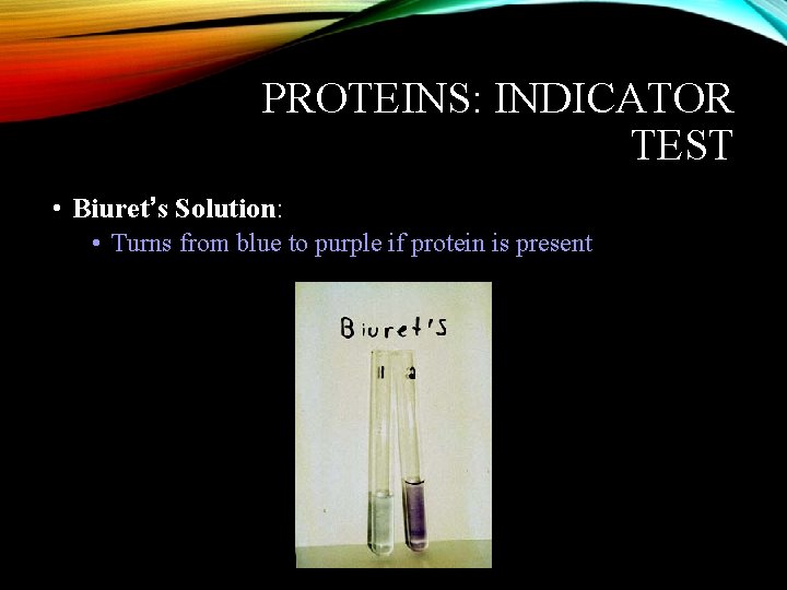 PROTEINS: INDICATOR TEST • Biuret’s Solution: • Turns from blue to purple if protein