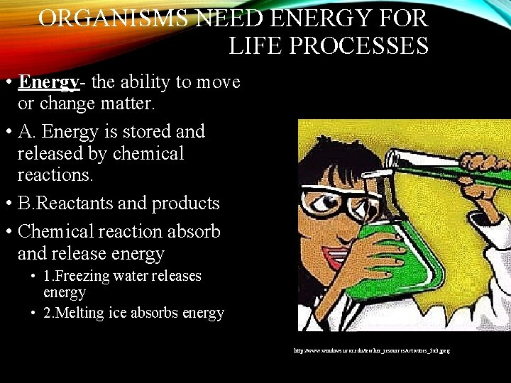 ORGANISMS NEED ENERGY FOR LIFE PROCESSES • Energy- the ability to move or change