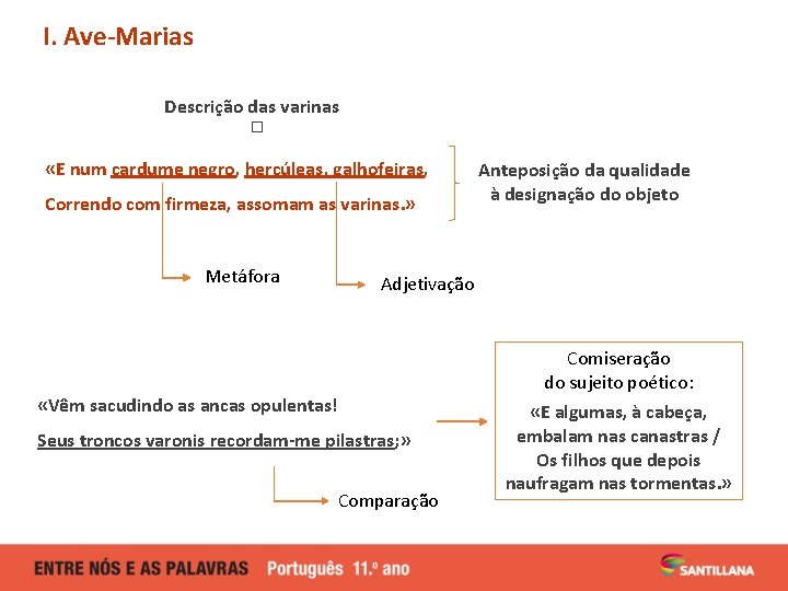 I. Ave-Marias Descrição das varinas � «E num cardume negro, hercúleas, galhofeiras, Correndo com