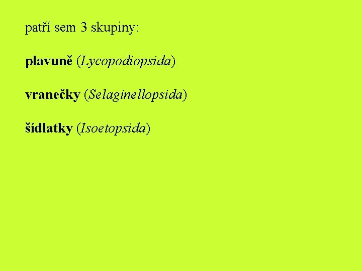 patří sem 3 skupiny: plavuně (Lycopodiopsida) vranečky (Selaginellopsida) šídlatky (Isoetopsida) 