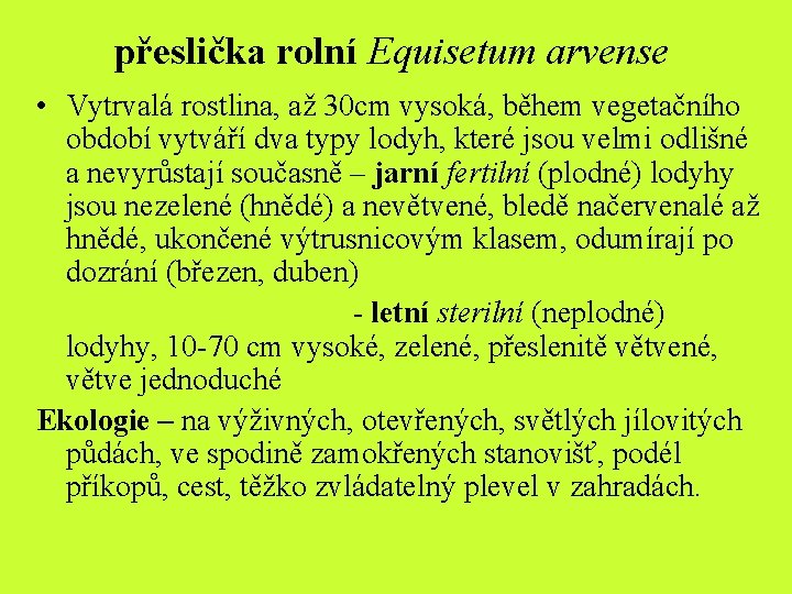 přeslička rolní Equisetum arvense • Vytrvalá rostlina, až 30 cm vysoká, během vegetačního období