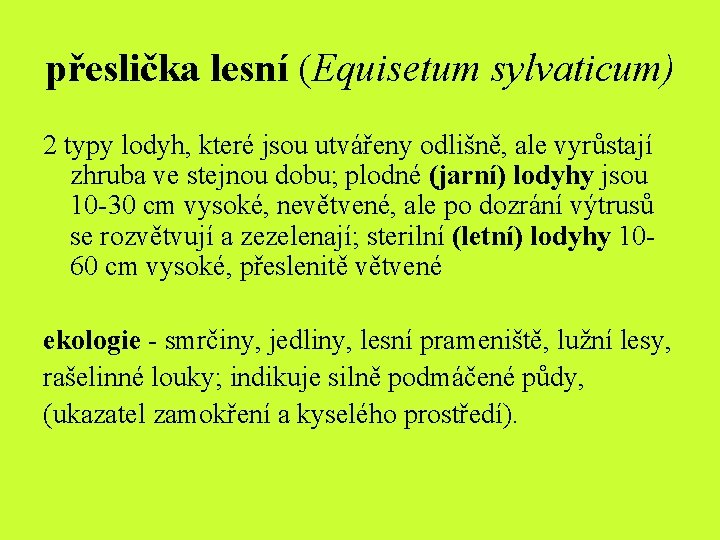 přeslička lesní (Equisetum sylvaticum) 2 typy lodyh, které jsou utvářeny odlišně, ale vyrůstají zhruba