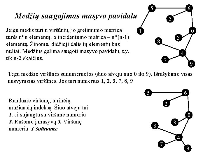 5 Medžių saugojimas masyvo pavidalu Jeigu medis turi n viršūnių, jo gretimumo matrica turės