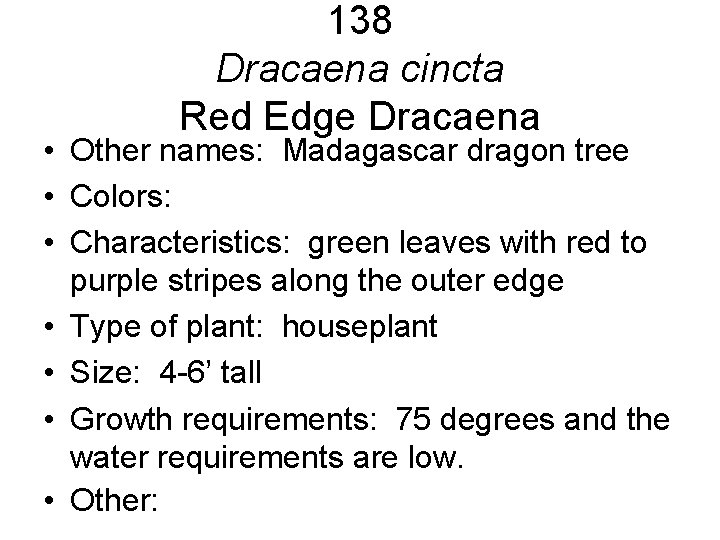 138 Dracaena cincta Red Edge Dracaena • Other names: Madagascar dragon tree • Colors: 138 Dracaena cincta Red Edge Dracaena • Other names: Madagascar dragon tree • Colors:
