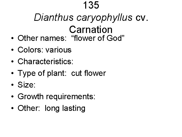 • • 135 Dianthus caryophyllus cv. Carnation Other names: “flower of God” Colors: • • 135 Dianthus caryophyllus cv. Carnation Other names: “flower of God” Colors: