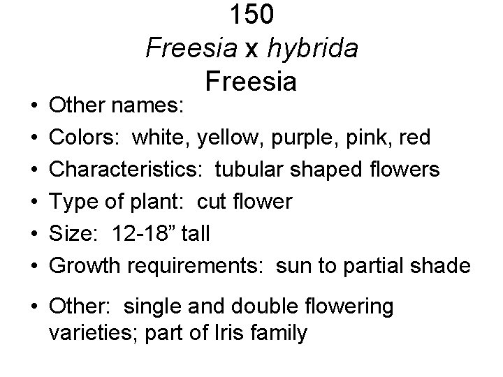 • • • 150 Freesia x hybrida Freesia Other names: Colors: white, yellow, • • • 150 Freesia x hybrida Freesia Other names: Colors: white, yellow,