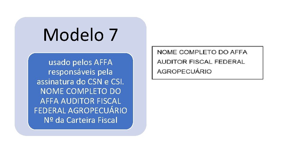 Modelo 7 usado pelos AFFA responsáveis pela assinatura do CSN e CSI. NOME COMPLETO