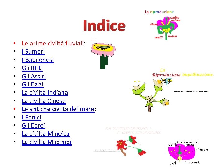 Indice • • • • Le prime civiltà fluviali: I Sumeri I Babilonesi Gli