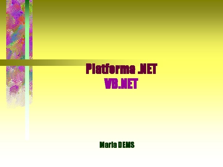 Platforma. NET VB. NET Maria DEMS 