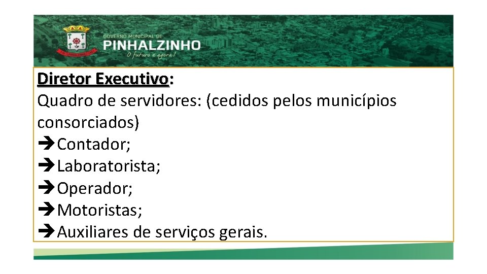 Diretor Executivo: Quadro de servidores: (cedidos pelos municípios consorciados) Contador; Laboratorista; Operador; Motoristas; Auxiliares