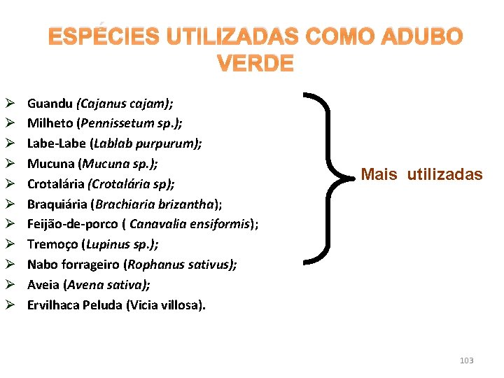 ESPÉCIES UTILIZADAS COMO ADUBO VERDE Ø Ø Ø Guandu (Cajanus cajam); Milheto (Pennissetum sp.