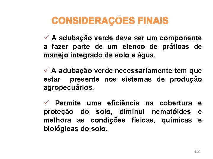 CONSIDERAÇÕES FINAIS ü A adubação verde deve ser um componente a fazer parte de