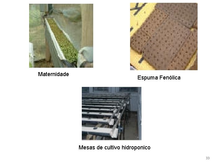 Maternidade Espuma Fenólica Mesas de cultivo hidroponico 33 