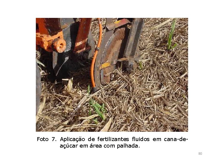 Foto 7. Aplicação de fertilizantes fluidos em cana-deaçúcar em área com palhada. 80 