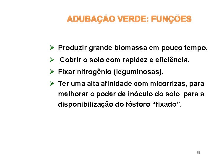 ADUBAÇÃO VERDE: FUNÇÕES Ø Produzir grande biomassa em pouco tempo. Ø Cobrir o solo